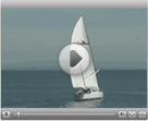Wyliecat 65 Video